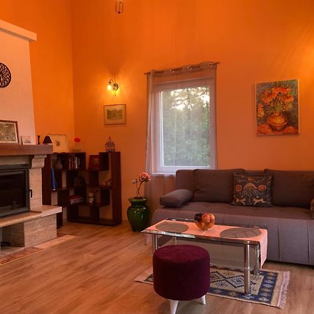 Vila Patrick House Tivat Exteriér fotografie